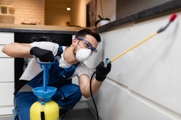 Best Pest Removal Services  in Breckenridge, TX