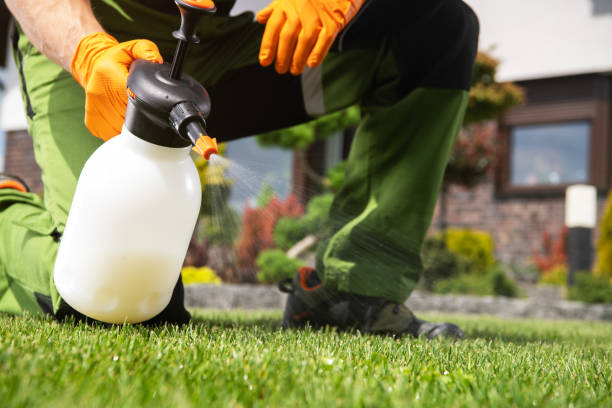 Best Residential Pest Control  in Breckenridge, TX
