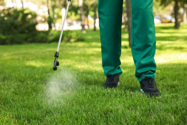 Best Termite Control Services  in Breckenridge, TX