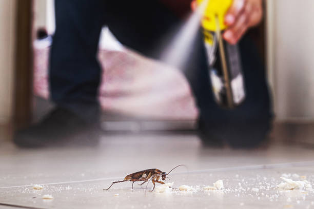 Best Wildlife Control Services  in Breckenridge, TX